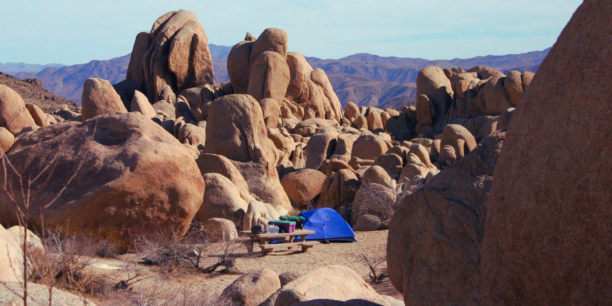 Explore Joshua Tree National Park