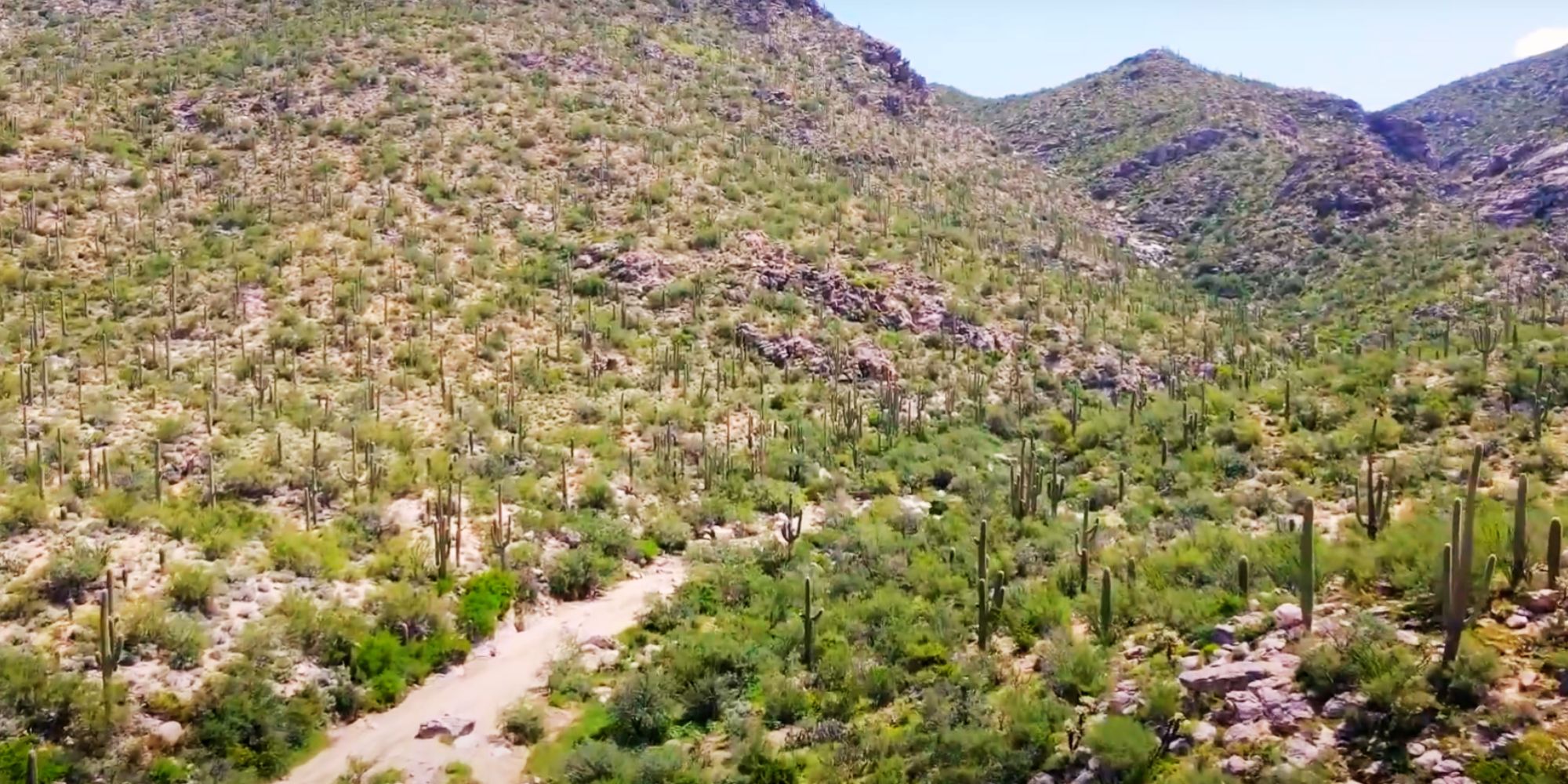 Go Horseback Riding Through the Desert