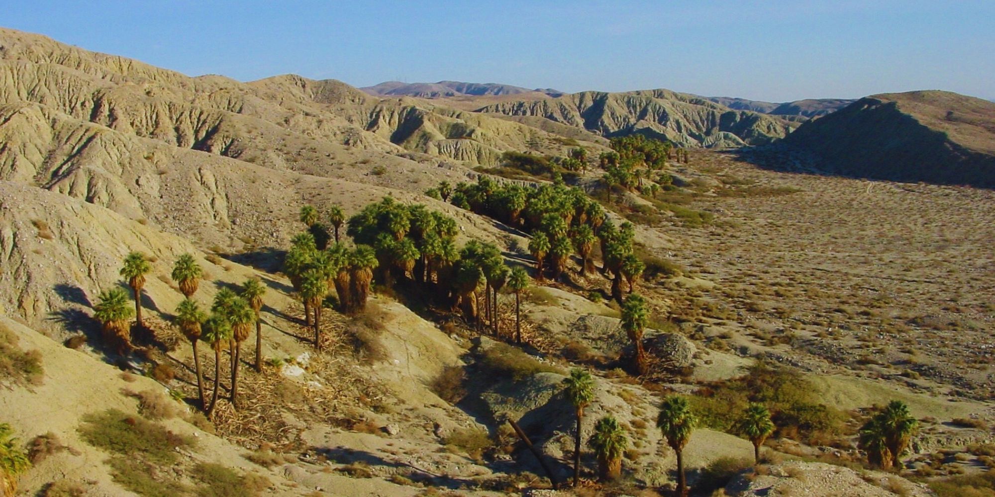 Hike in the Coachella Valley Preserve