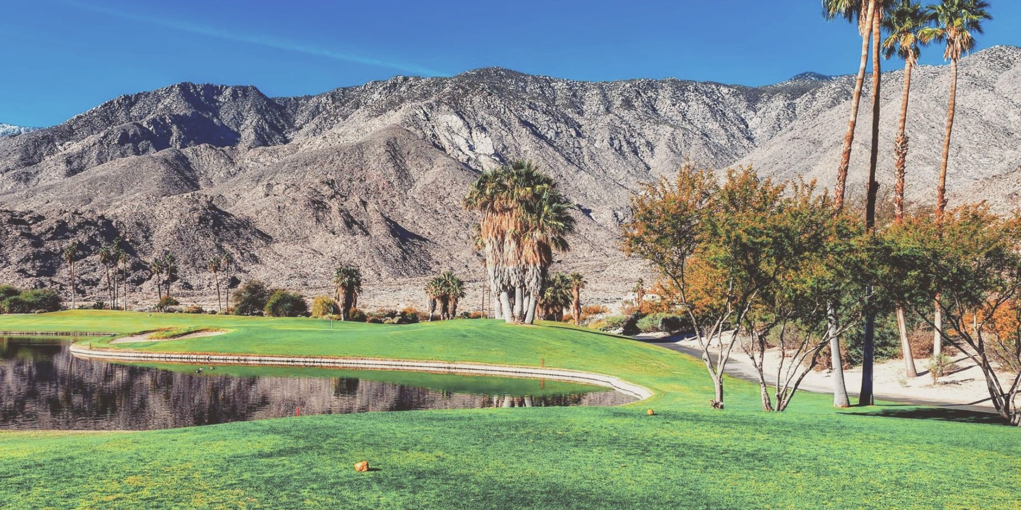 Play a Round of Golf