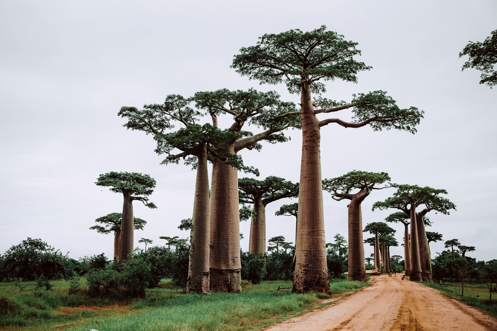 Madagascar destination